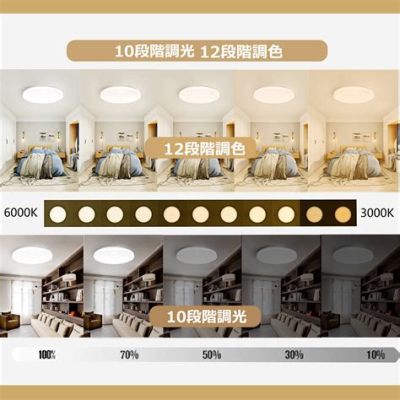 6畳 照明 明るさ: 空間と光の調和を探る