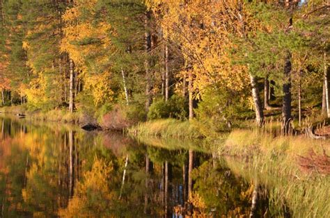  Kivet ja Eläimet - Mystistä Yhteyttä Luontoon ja Inhimilliseen